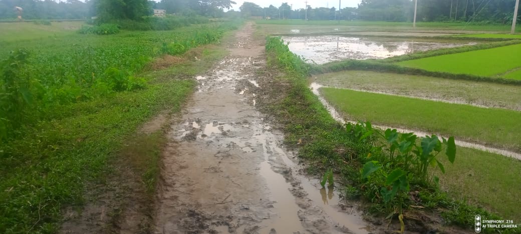 পাকা রাস্তার অভাবে হাজার বছর ধরে জনদুর্ভোগে এলাকাবাসী